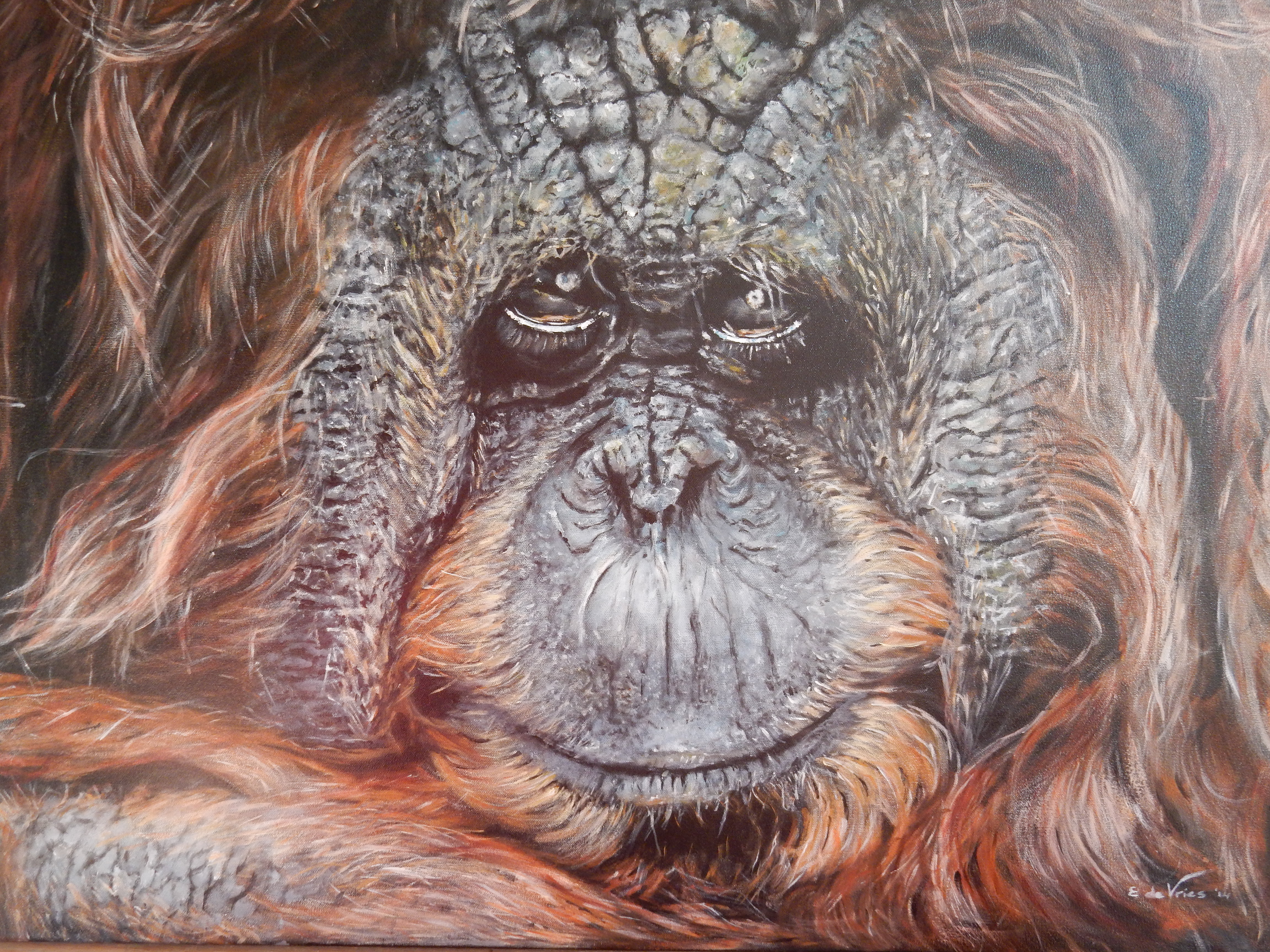 een prachtige apenkop